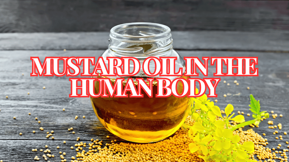 Mustard Oil in the Human Body